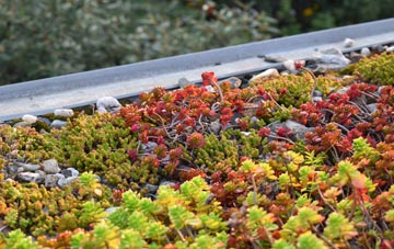 the cost of Blacker Hill green roof installation