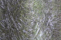 Blacker Hill fibreglass roof work